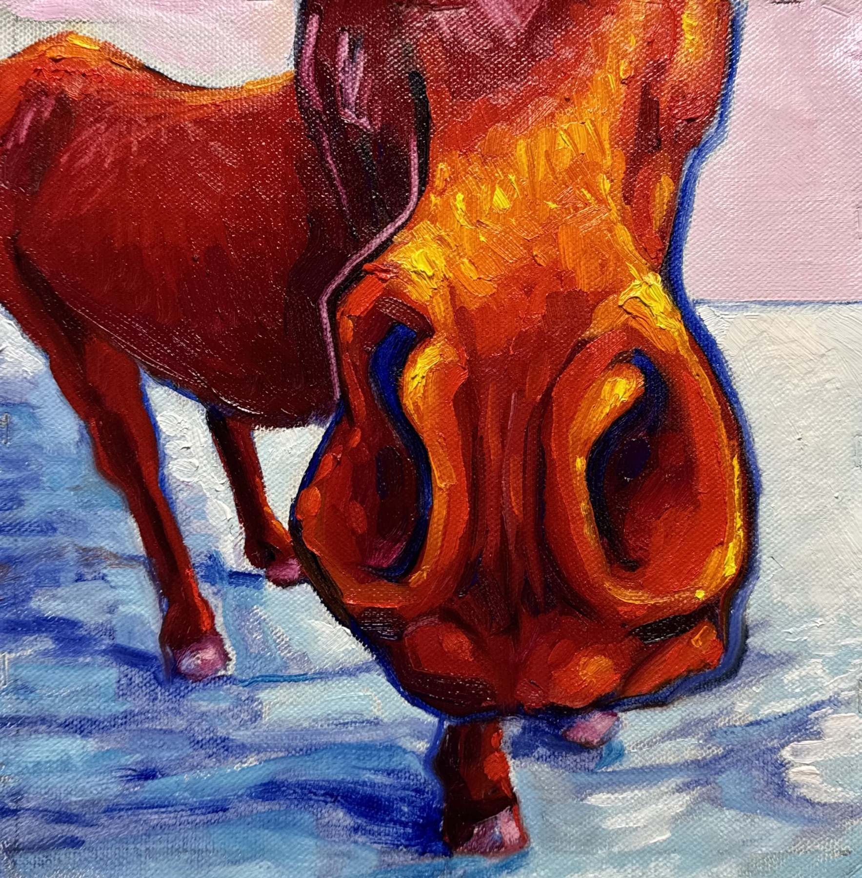 Cavallo