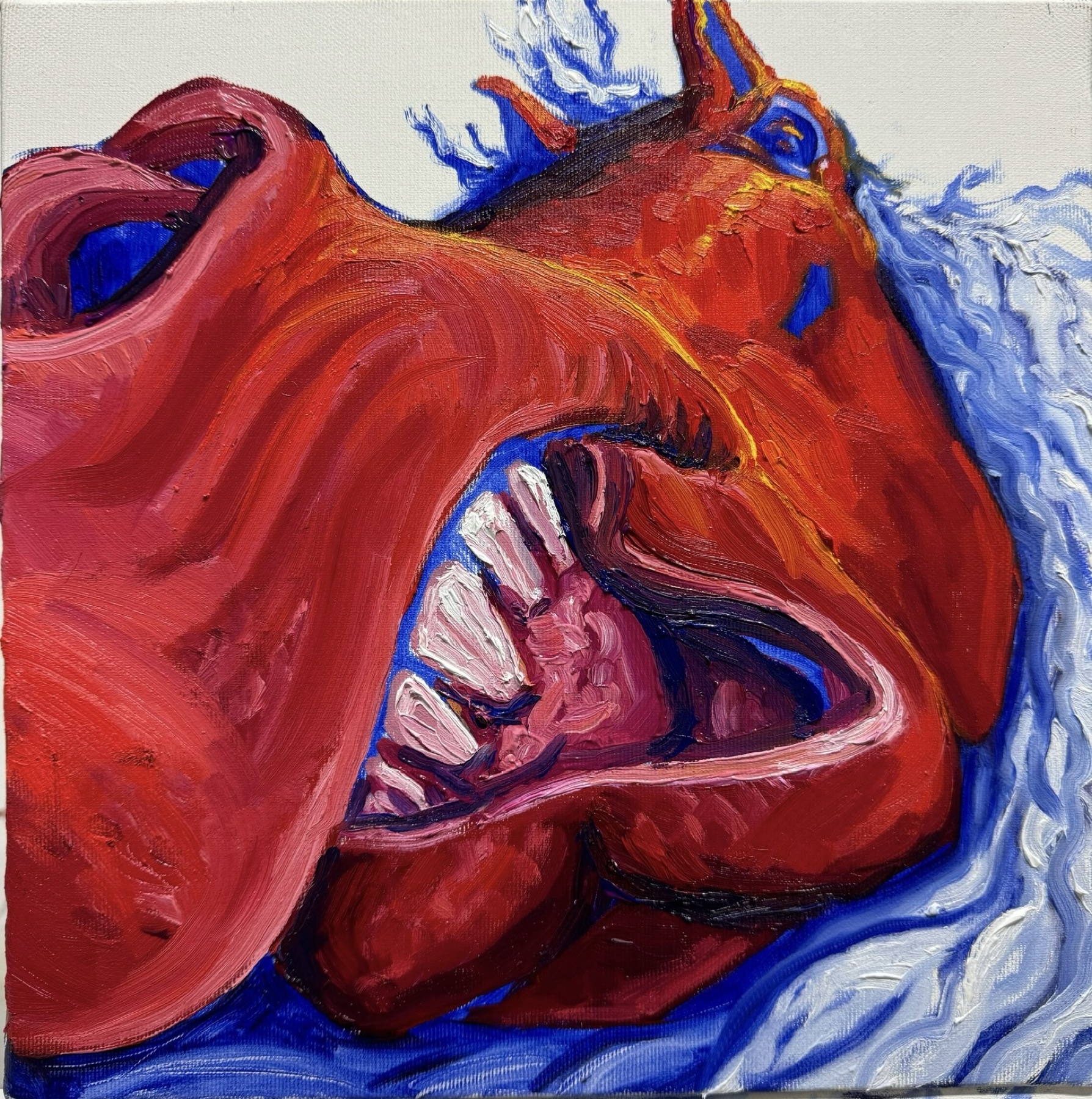 Cavallo